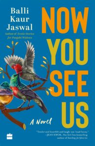 Book Review: Now You See Us by Balli Kaur Jaswal